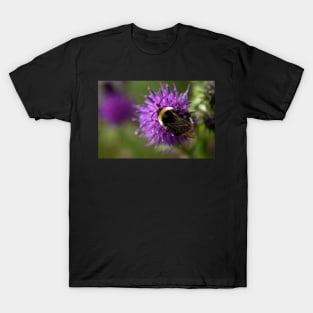 Bumble Bee on a thistle macro T-Shirt